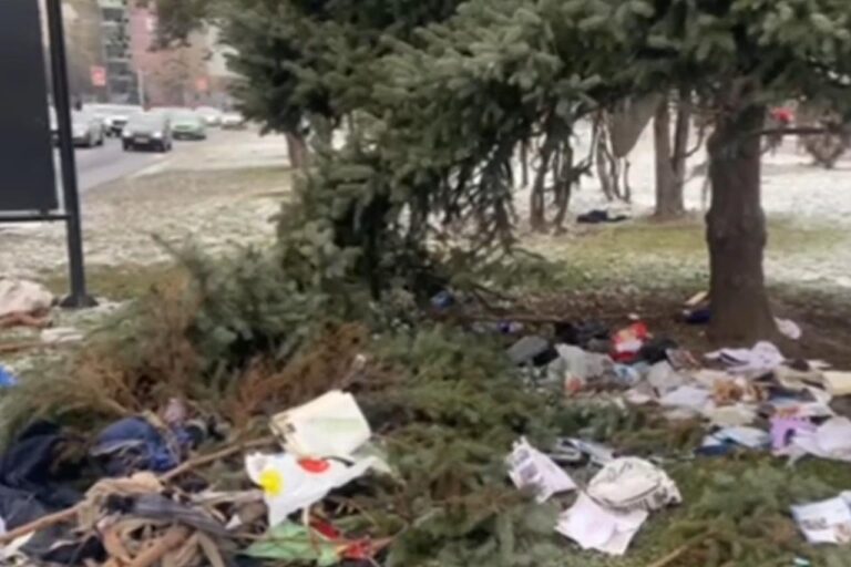 Migrant živio u kućici na drvetu u Nedžarićima