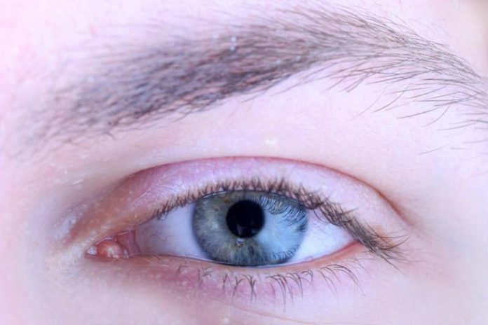 a78cabdb738b6e1672d1