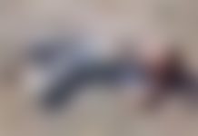 Selo ga tražilo, a on uživao u spavanju (VIDEO)